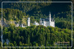 Schloss Neuschwanstein (16)