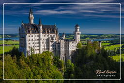 Schloss Neuschwanstein (343)