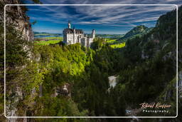 Schloss Neuschwanstein (352)