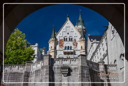 Château de Neuschwanstein (374)