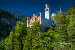 Neuschwanstein Castle (383)