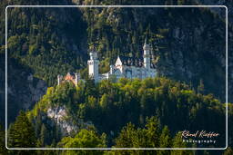 Schloss Neuschwanstein (388)