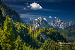 Schloss Neuschwanstein (479)