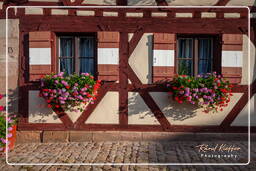 Imperial Castle (Nuremberg), Nuremberg (66)