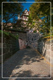 Nuremberg (174) Château Impérial (Nuremberg)