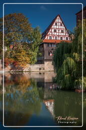 Wine warehouse, Nuremberg (250)