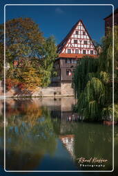 Nuremberg (250) Wine warehouse