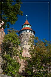 Nuremberg (369) Château Impérial (Nuremberg)