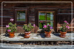 Museo al aire libre Glentleiten (863)