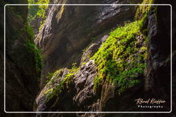 Partnach Gorge, Garmisch-Partenkirchen (104)