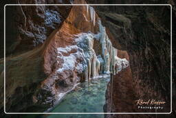 Partnach Gorge in Winter, Garmisch-Partenkirchen (260)