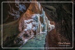 Garmisch-Partenkirchen (260) Gorge de la Partnach en Hiver