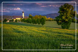Pilgrimage church, Wilparting (534)