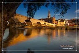 Regensburg (168)