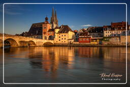 Regensburg (231)