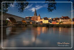 Regensburg (305)