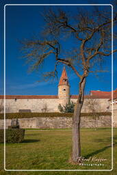 Rothenburg ob der Tauber (411)