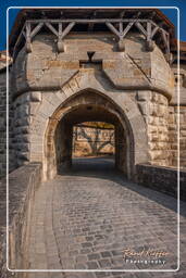 Spitaltor, Rothenburg ob der Tauber (463)