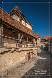 Rothenburg ob der Tauber (532)