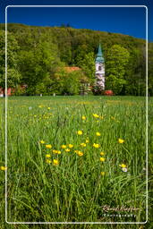 Weltenburg Abbey (103)