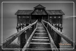 Inning am Ammersee Black-and-white, Ammersee (428)