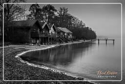 Ammersee (445) Inning am Ammersee Noir et blanc