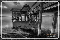 Ammersee (494) Inning am Ammersee Noir et blanc