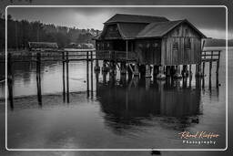 Inning am Ammersee Black-and-white, Ammersee (499)
