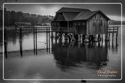 Ammersee (499) Inning am Ammersee Noir et blanc