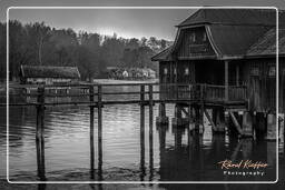 Lago Ammer (506) Inning am Lago Ammer Blanco y negro