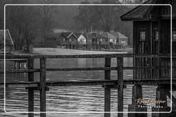 Inning am Ammersee Black-and-white, Ammersee (514)