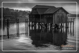 Lago Ammer (536) Inning am Lago Ammer Blanco y negro