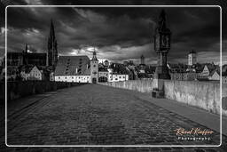 Black-and-white, Regensburg (329)