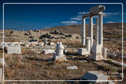 Delos (46)