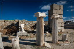 Delos (103)