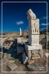 Delos (128)