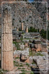 Delphes (71) Temple d’Apollon