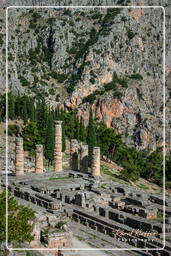 Delphi (302)