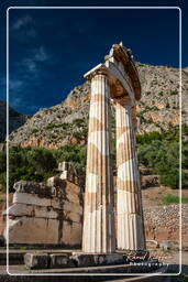 Delphes (350) Tholos au sanctuaire d’Athéna Pronaia