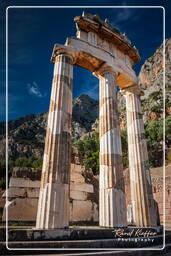 Delphi (354) Tholos im Heiligtum der Athena Pronaia