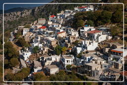 Koronos, Naxos (1008)