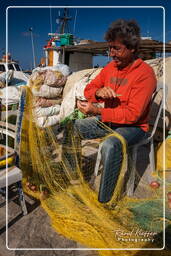 Parikia, Paros (21)