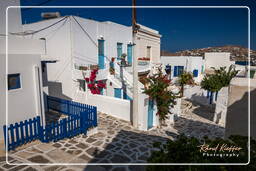 Parikia, Paros (102)