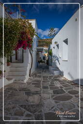 Lefkes, Paros (1441)