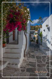Lefkes, Paros (1446)