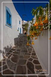 Lefkes, Paros (1491)