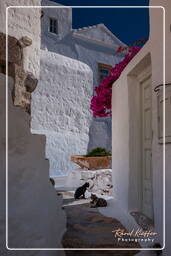 Chora, Patmos (46)