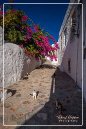 Patmos (449) Chora