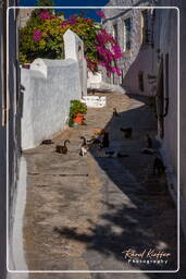 Patmos (488) Chora