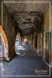 Sanatorium, Eleousa (96)